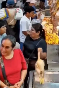 Le salieron alas al pollo: robo hormiga en mercados
