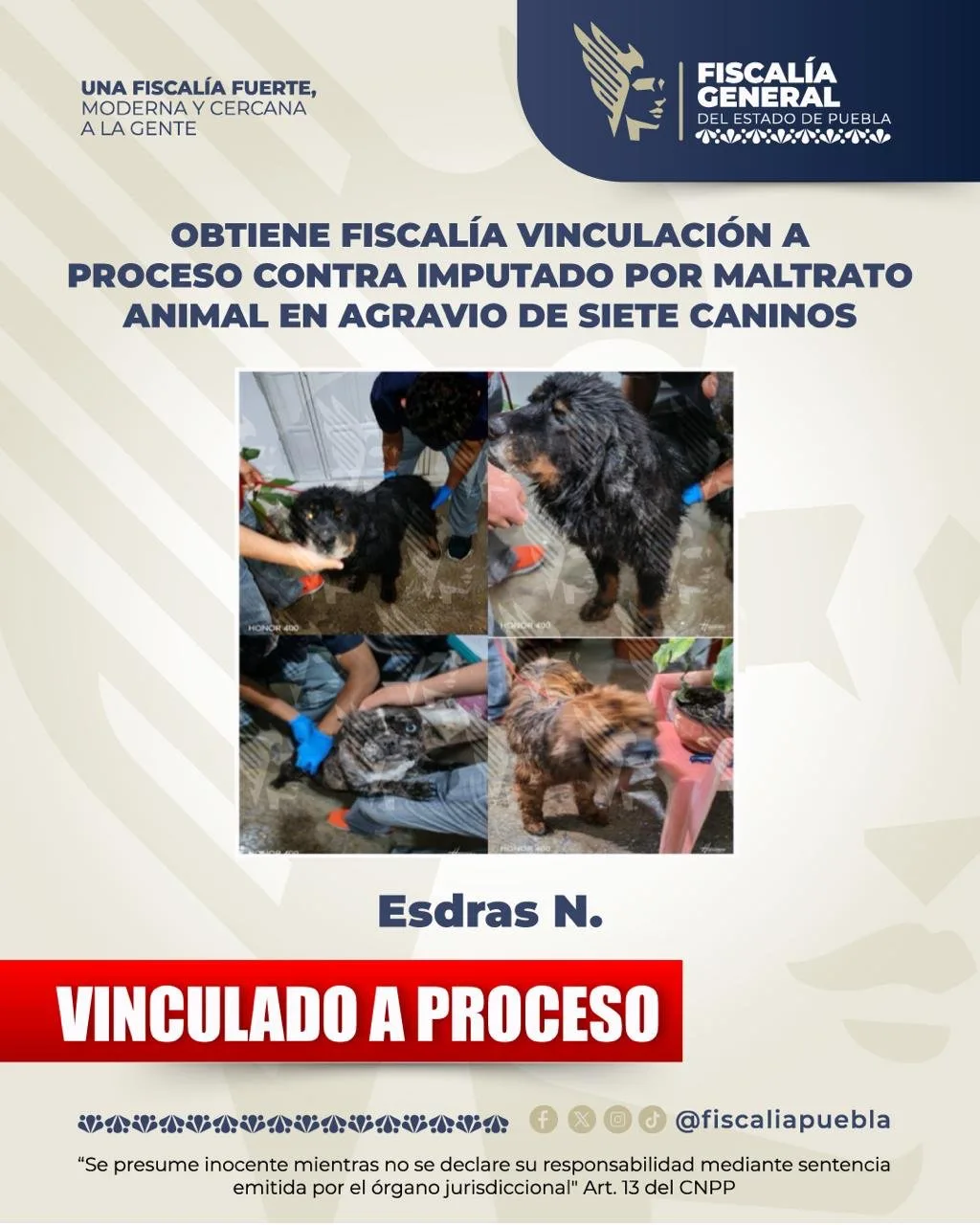 Vinculan a proceso a sujeto por maltrato animal en Puebla