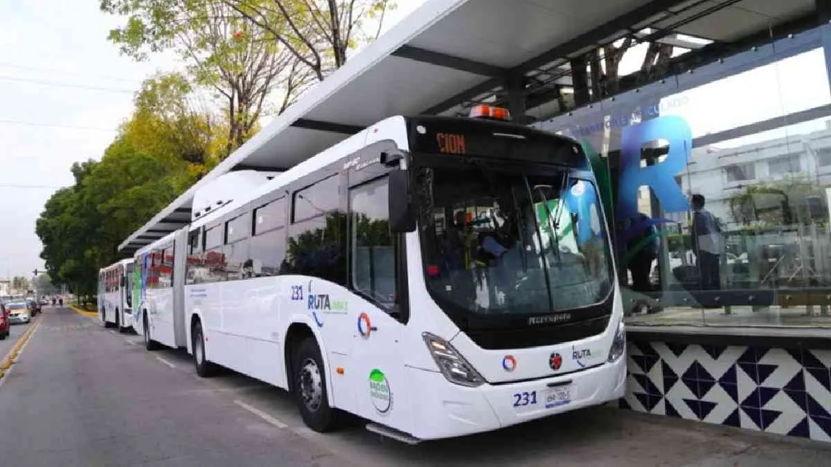 Detienen a pareja por presunto robo de celular en la Línea 3 de RUTA
