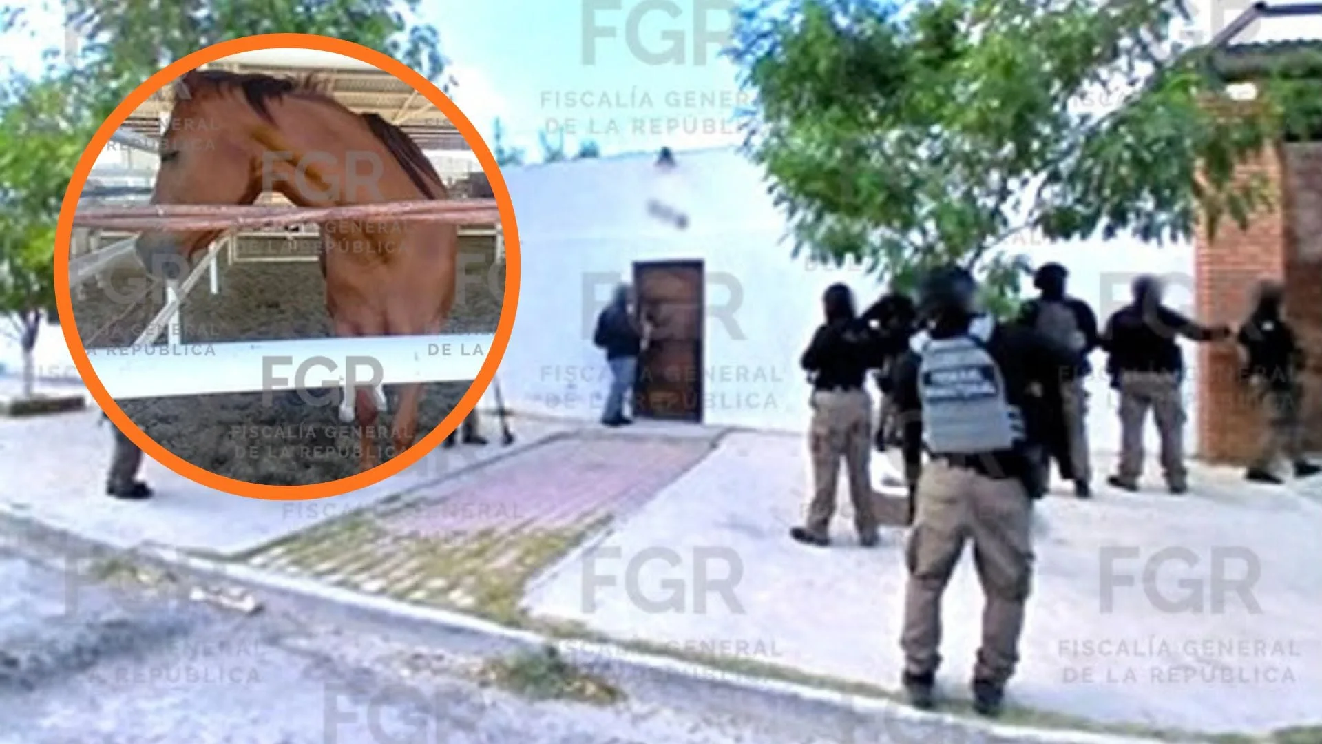 Despliegan operativos federales contra el crimen organizado en siete estados