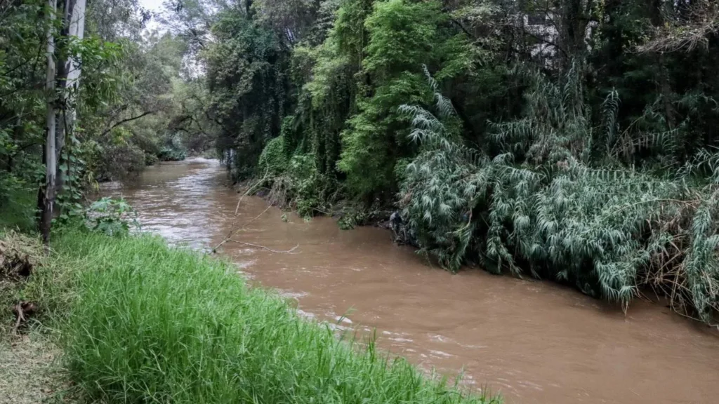 45 fármacos en el río Atoyac: crisis y amenaza biológica