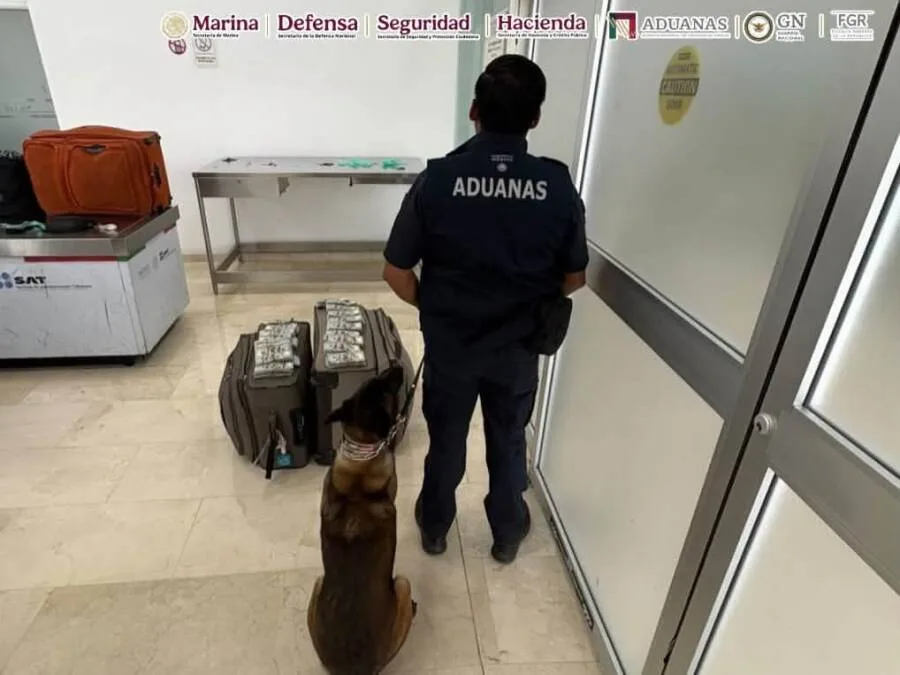 Incautan 365 mil dólares en efectivo en el Aeropuerto de Oaxaca