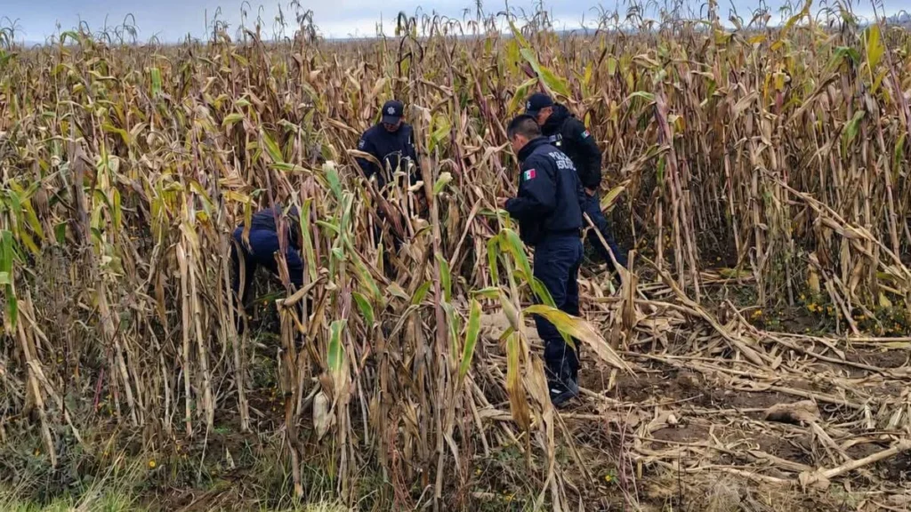 Violencia en Tlatlauquitepec: hallan cuerpo ejecutado en campo de maíz