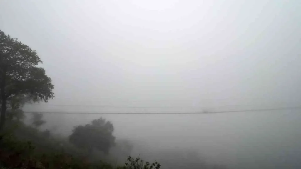 Colapso de puente colgante en Hueytamalco deja tres personas lesionadas