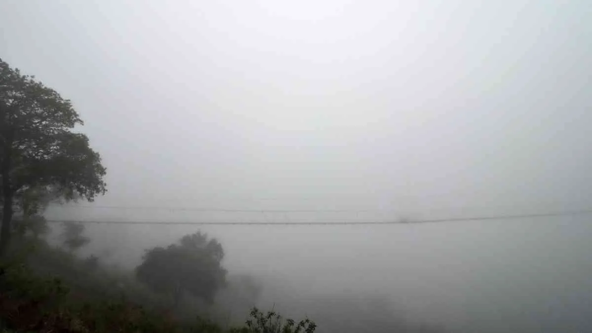 Colapso de puente colgante en Hueytamalco deja tres personas lesionadas